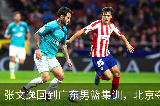 张文逸回到广东男篮集训，北京夺冠功勋确定退役，上海欲续约弗格